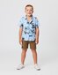 Radicool Dude Vintage Palms Shirt