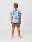 Radicool Dude Vintage Palms Shirt
