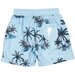 Radicool Dude Barbados Boardies