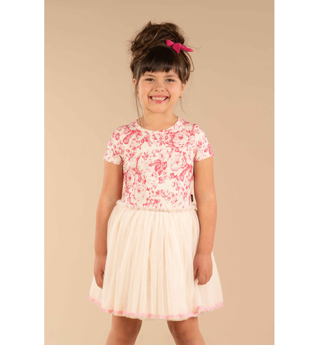 Rock Your Kid Floral Toile Circus Dress