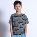 Minti Skate Frogs Tee - Charcoal Marle