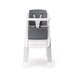 Nuna Zaaz High Chair - Carbon