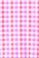 Milky Neon Gingham Rash Set
