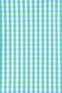 Milky Blue Gingham Swimsuit