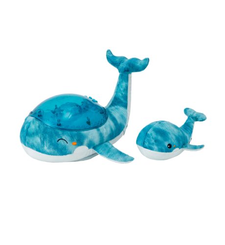 Tranquil Whale - Blue Family