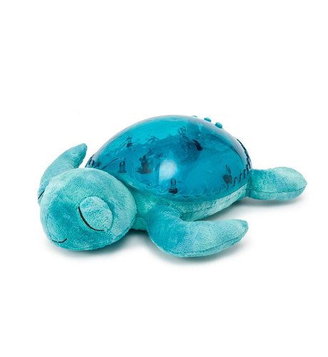 Tranquil Turtle - Aqua