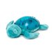 Tranquil Turtle - Aqua