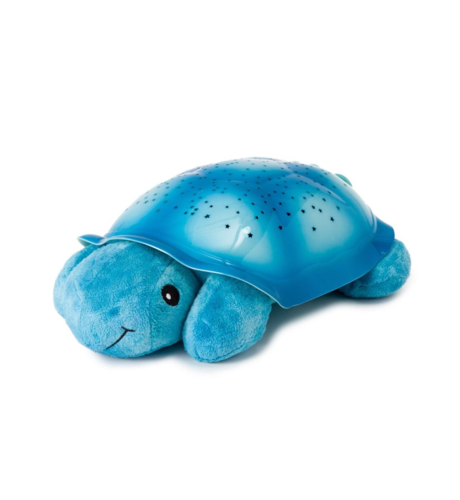 Twilight Turtle - Blue