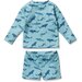 Wilson & Frenchy Sharky Rashie Swim Set