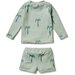 Wilson & Frenchy Palm Tree Rashie Swim Set