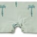 Wilson & Frenchy Palm Tree One Piece Boyleg Swimsuit