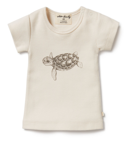 Wilson & Frenchy Tiny Turtle Organic Tee