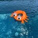 Sunnylife Sonny The Sea Creature Pool Ring