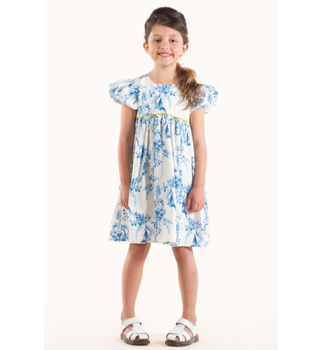 Rock Your Kid Summer Toile Dress