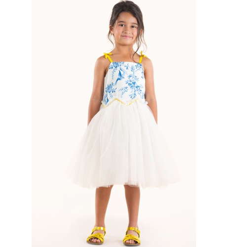 Rock Your Kid Summer Toile Tie Tulle Dress