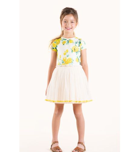 Rock Your Kid Yellow Roses Circus Dress