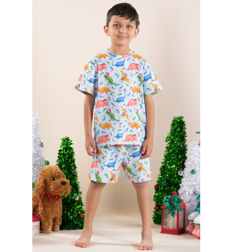 Rock Your Kid Dino Celebrate PJ Set