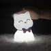 Stellar Haus Squishy Cat Rechargeable Night Light