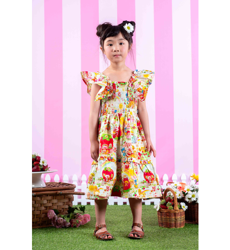 Rock Your Kid Strawberry Land Dress