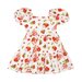 Rock Your Kid Strawberries Forever Dress