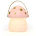 Little Belle Fairy Carry Lantern - Mini