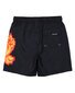 Santa Cruz Flame Hand Boardshort - Black