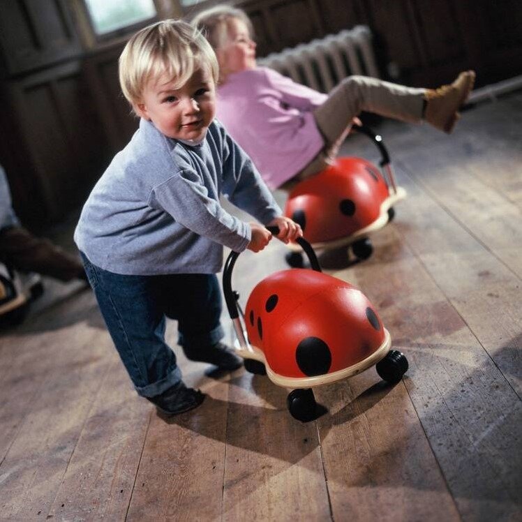 Wheely Bug Ladybug Small PLAY Outdoor Toys Kids Clothing NZ