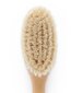 Purebaby Goat Hair Brush W Box - Natural