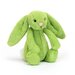 Jellycat Bashful Apple Bunny - Small