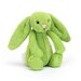 Jellycat Bashful Apple Bunny - Small