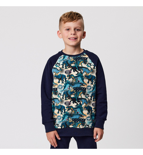 Radicool Dude Dinos Raglan Crew