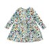 Rock Your Kid Butterflies L/S Dress