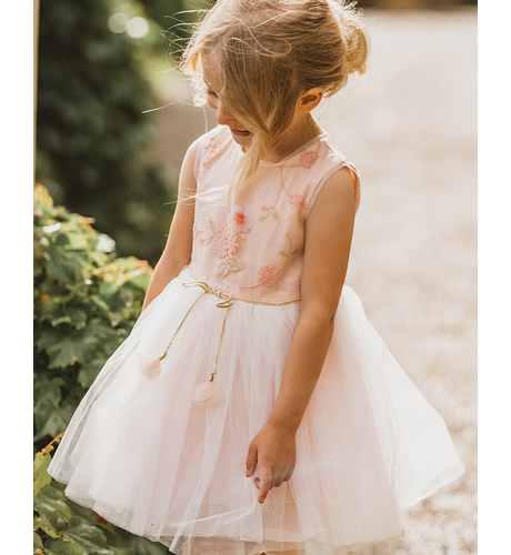 Bebe Embroidered Tutu Dress - Peach