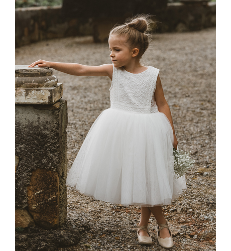 Bebe Embroidered Organza Dress - Ivory