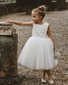 Bebe Embroidered Organza Dress - Ivory