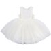 Bebe Embroidered Organza Dress - Ivory