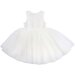 Bebe Embroidered Organza Dress - Ivory