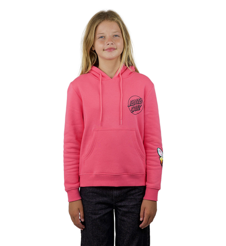 Santa Cruz Asp Paradise Fire Hoody - Pink