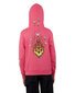 Santa Cruz Asp Paradise Fire Hoody - Pink