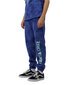 Santa Cruz Inherit Strip Track Pant - Dark Blue Tie Dye