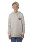 Santa Cruz Meek Sc Slasher Hoody - Concrete