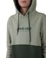 Santa Cruz Solid Strip Front Hoody - Light Green