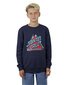 Santa Cruz Split Not A Dot Front Sweater - Navy