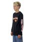 Santa Cruz Inherit Pop L/S Tee - Black