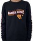 Santa Cruz Inherit Pop L/S Tee - Black