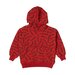 Rock Your Kid Zig Zag Hooded Sweatshirt