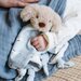 TLLC Comforter - Barklife Dog