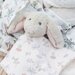 TLLC Comforter - Harvest Bunny