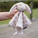 TLLC Comforter - Harvest Bunny