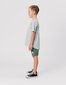 Rad Tribe Tee In Sage Marl